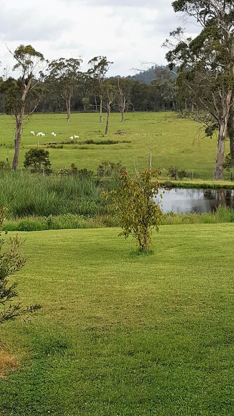 Hazelcreek Cottages - Tourism TAS 7