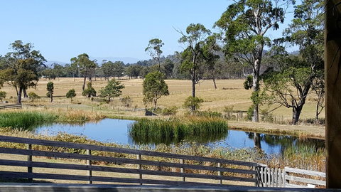 Hazelcreek Cottages - Tourism TAS 2