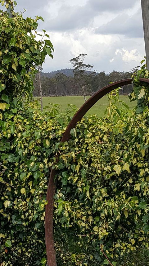 Hazelcreek Cottages - Tourism TAS 36