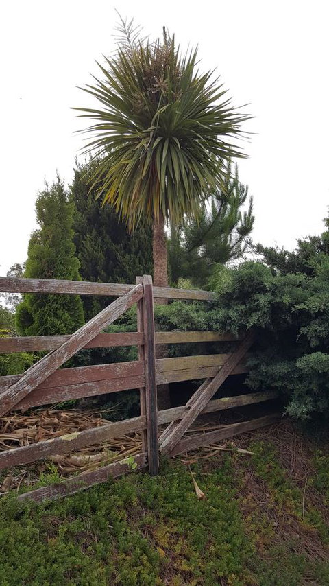 Hazelcreek Cottages - Tourism TAS 38