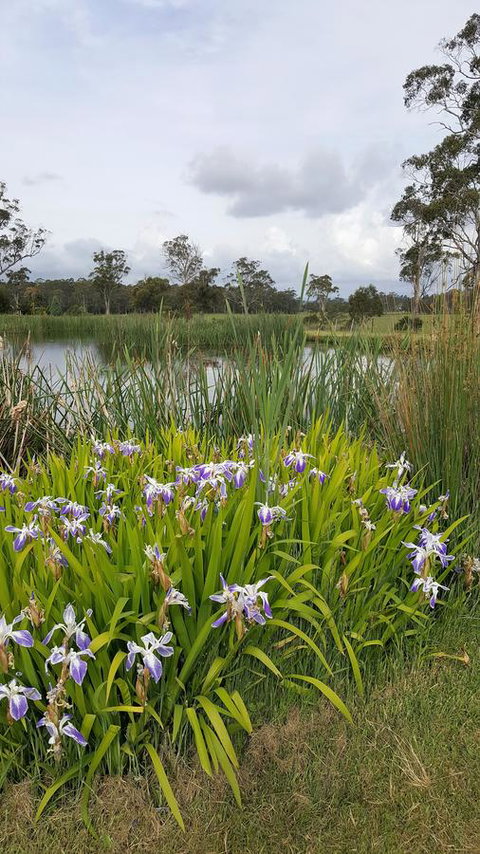 Hazelcreek Cottages - Tourism TAS 1