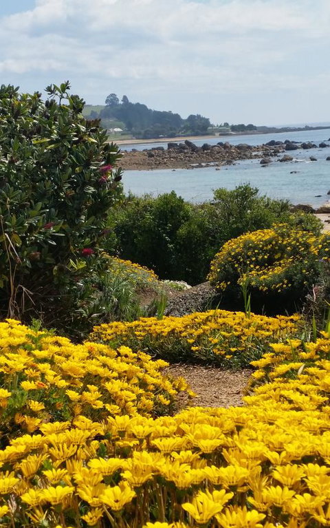 Penguin Beach House - Tourism TAS 18