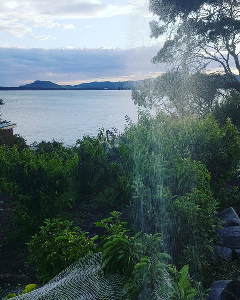 AppleBay Guest House - Tourism TAS 31