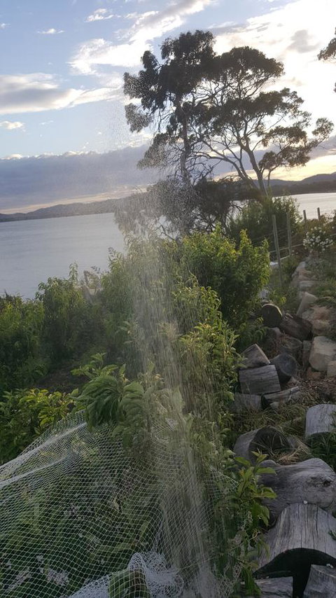 AppleBay Guest House - Tourism TAS 21