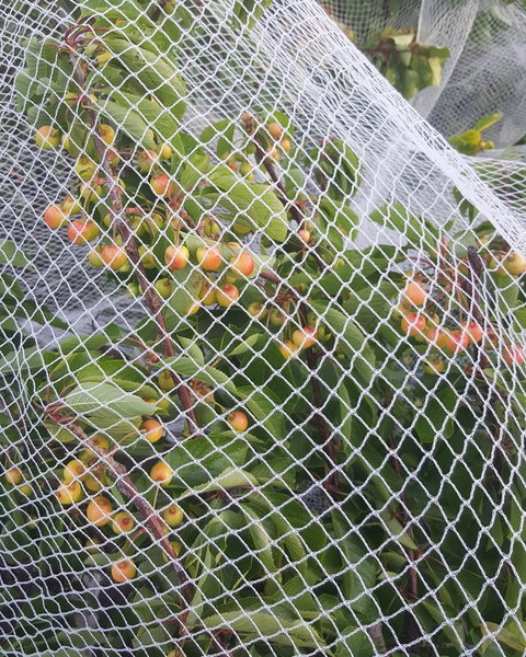 AppleBay Guest House - Tourism TAS 30