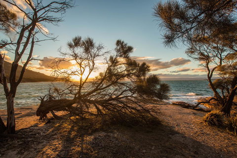 Freycinet Lodge - Tourism TAS 44