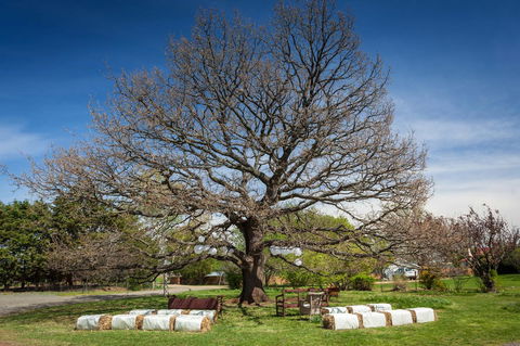Ratho Farm - Tourism TAS 8