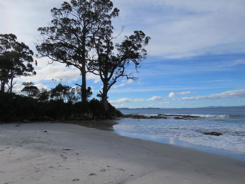 Captain Cook Holiday Park - Tourism TAS 9