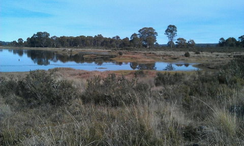 Highland Cabins And Cottages At Bronte Park - Hobart Tourism 3