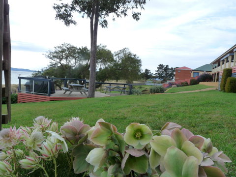 Swansea Motor Inn Tasmania - Tourism TAS 17