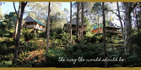 Lemonthyme Wilderness Retreat - Tourism TAS 20