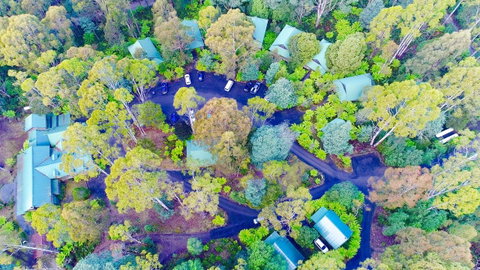 Lemonthyme Wilderness Retreat - Tourism TAS 1