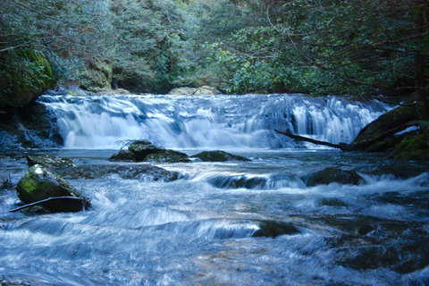Lemonthyme Wilderness Retreat - Tourism TAS 10