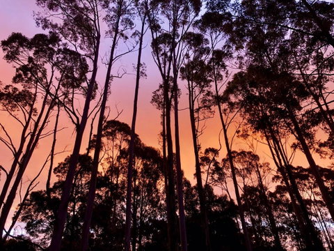 Lemonthyme Wilderness Retreat - Tourism TAS 8