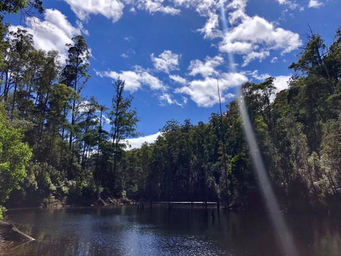 Lemonthyme Wilderness Retreat - Tourism TAS 7