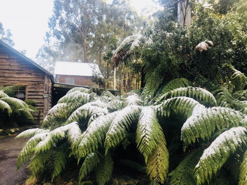 Lemonthyme Wilderness Retreat - Tourism TAS 5