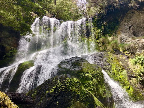 Lemonthyme Wilderness Retreat - Tourism TAS 14