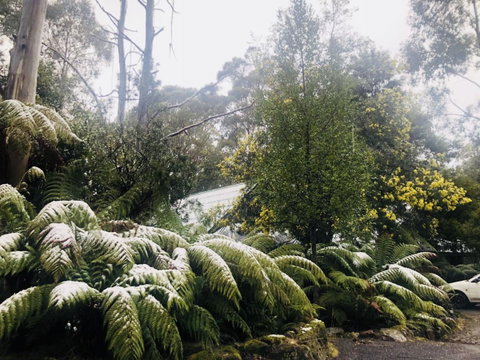 Lemonthyme Wilderness Retreat - Tourism TAS 16