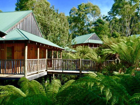 Lemonthyme Wilderness Retreat - Tourism TAS 11