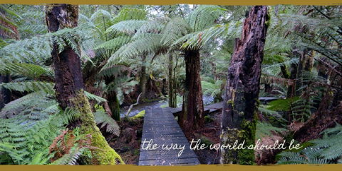 Lemonthyme Wilderness Retreat - Tourism TAS 17