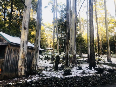 Lemonthyme Wilderness Retreat - Tourism TAS 6