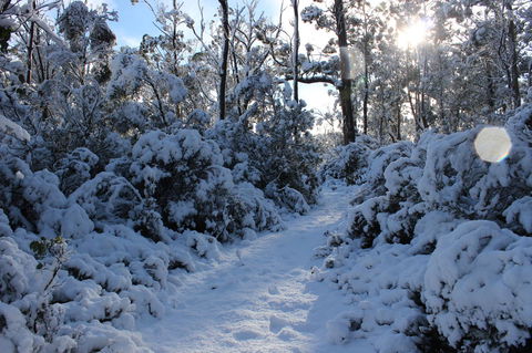 Cradle Mountain Hotel - Hobart Tourism 4