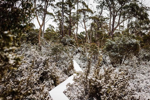 Cradle Mountain Hotel - Hobart Tourism 6
