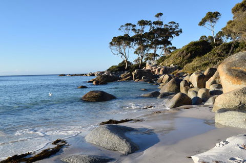 Anchor Wheel Motel - Hobart Tourism 26