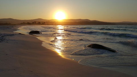 Anchor Wheel Motel - Hobart Tourism 25