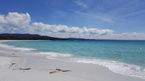 Anchor Wheel Motel - Hobart Tourism 21