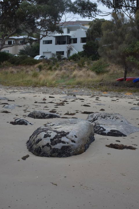 Beachside Taroona With Spa - Tourism TAS 21