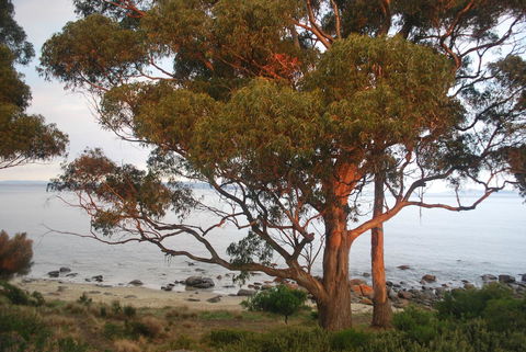 Beachside Taroona With Spa - Tourism TAS 18