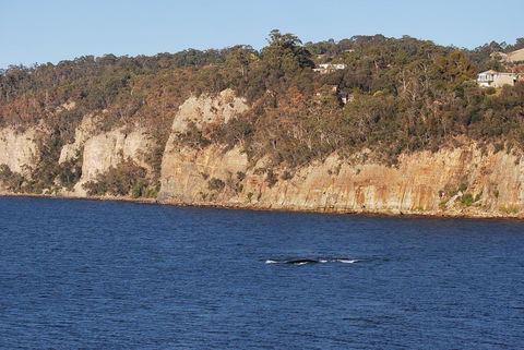 Beachside Taroona With Spa - Tourism TAS 29