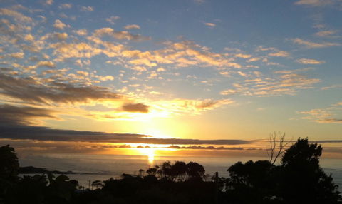 Up The Back - Hobart Tourism 33