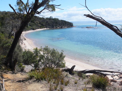Cove Cottage - Tourism TAS 12