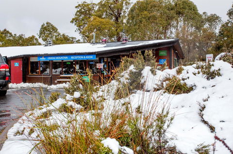 Discovery Parks - Cradle Mountain - Hobart Tourism 29