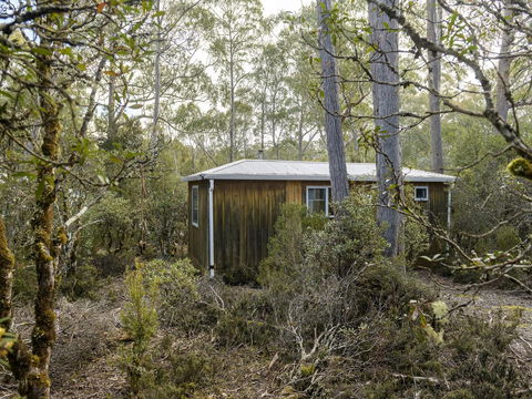 Discovery Parks - Cradle Mountain - Hobart Tourism 18