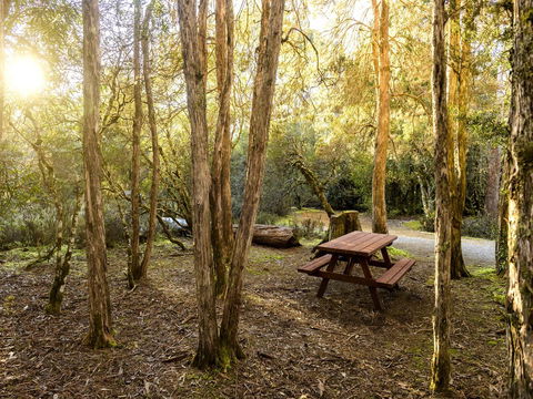 Discovery Parks - Cradle Mountain - Hobart Tourism 19