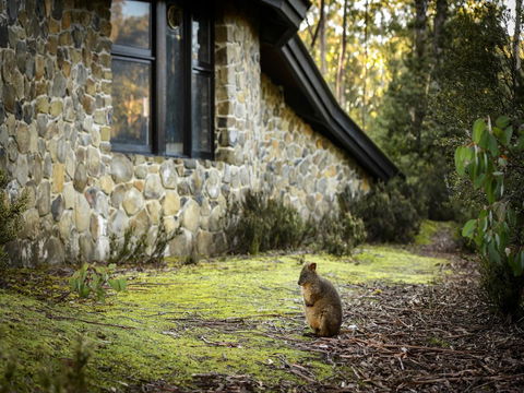 Discovery Parks - Cradle Mountain - Hobart Tourism 22