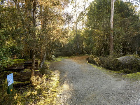 Discovery Parks - Cradle Mountain - Hobart Tourism 1