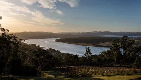 Domescapes In The Vines - Tourism TAS 10