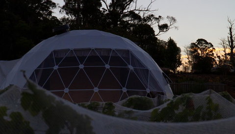Domescapes In The Vines - Tourism TAS 12