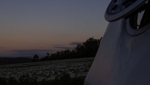 Domescapes In The Vines - Tourism TAS 4