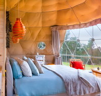Domescapes in the Vines - Tourism TAS