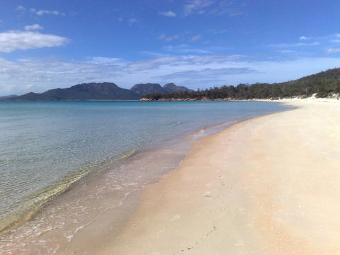 Malting Lagoon Guest House And Brewery - Tourism TAS 14