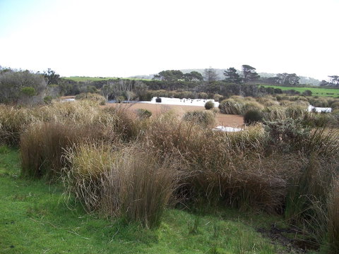 Cloudy Bay Beach House - Tourism TAS 24
