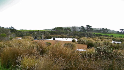 Cloudy Bay Beach House - Tourism TAS 19