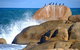 Cloudy Bay Beach House - thumb 29