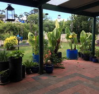 Blue Wren Bungalow - Hobart Tourism