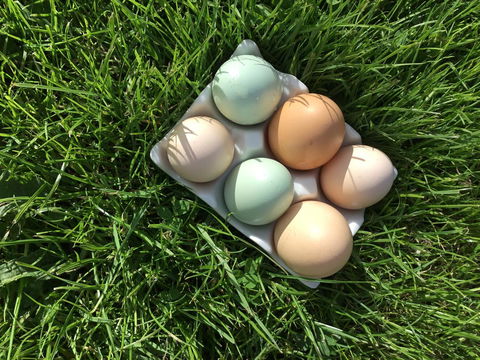 Nextdoor@portarthur - Tourism TAS 15